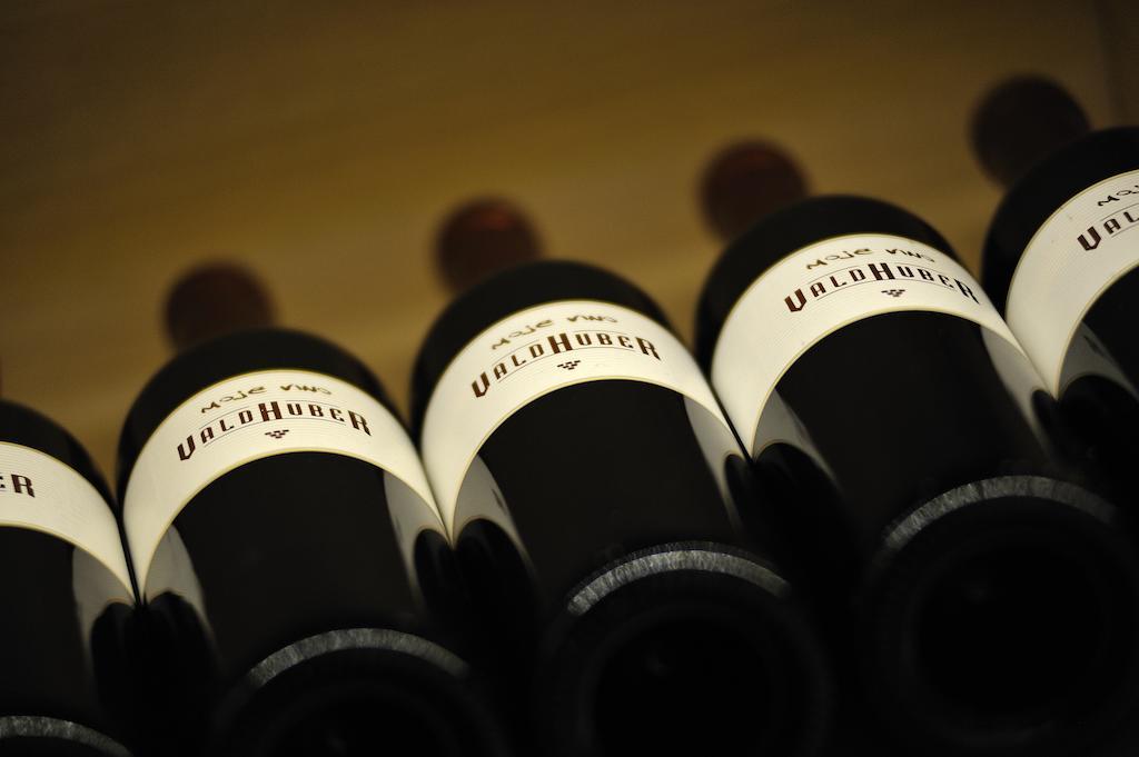 Vino Valdhuber Apartments Svecina Dış mekan fotoğraf